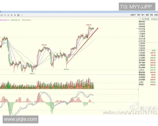 广州排球队防守策略揭秘：深度分析排球战术与团队协作技巧