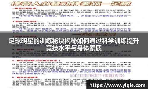 足球明星的训练秘诀揭秘如何通过科学训练提升竞技水平与身体素质